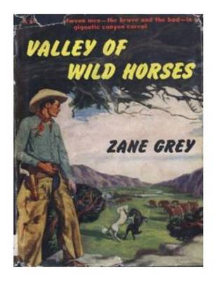 Cover of Valley of Wild Horses