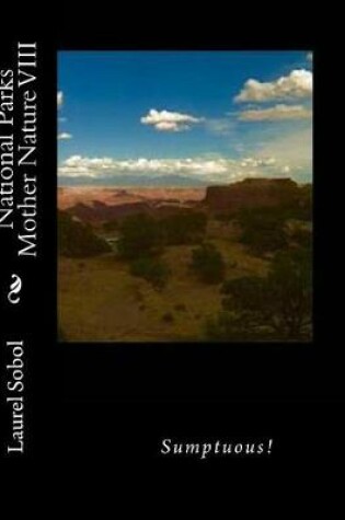 Cover of National Parks Mother Nature VIII