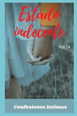 Book cover for Estado indecente (vol 14)