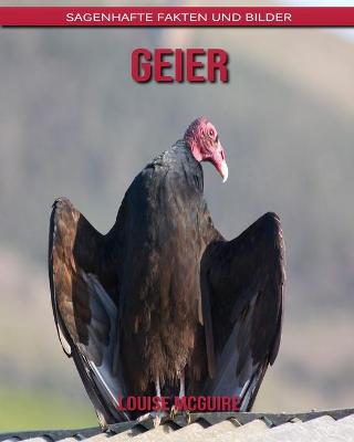 Book cover for Geier