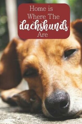 Cover of Home is Where the Dachshunds Are