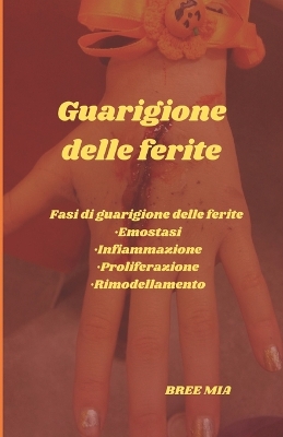 Book cover for Guarigione delle ferite