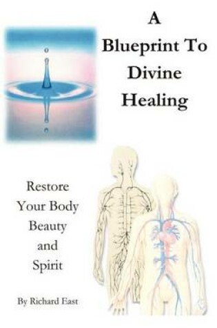 Cover of A Blueprint to Divine Healing