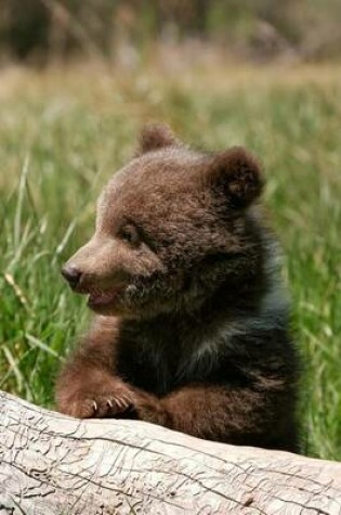 Cover of Grizzly Bear Cub Sitting by a Log Journal