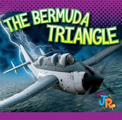 Cover of The Bermuda Triangle