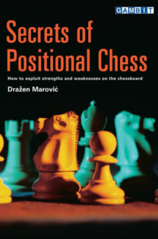 Cover of Secrets of Positional Chess