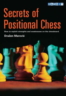 Book cover for Secrets of Positional Chess