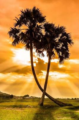 Book cover for Two Palm Trees and a Glorious Sunset Nature Journal