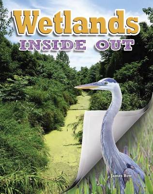 Book cover for Wetlands Inside Out