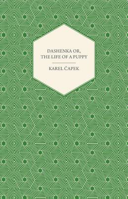 Book cover for Dashenka Or, the Life of a Puppy