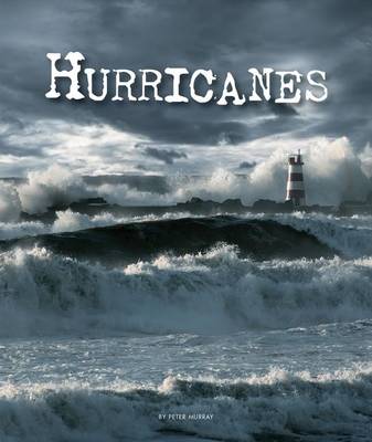 Book cover for Hurricanes