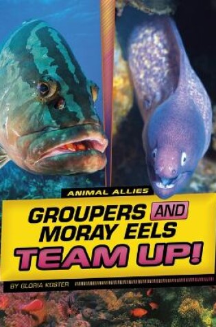 Cover of Groupers and Moray Eels Team Up!