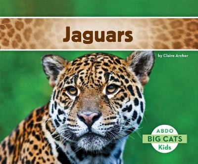 Book cover for Jaguars