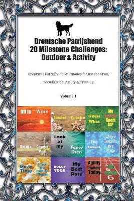 Book cover for Drentsche Patrijshond 20 Milestone Challenges