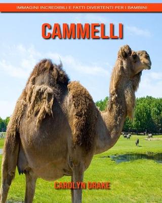 Book cover for Cammelli