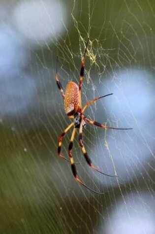 Cover of The Golden Silk Spider Journal