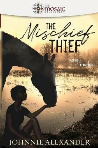 Cover of The Mischief Thief