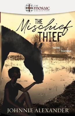 Book cover for The Mischief Thief