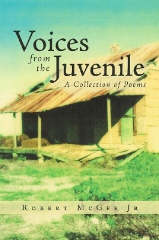 Cover of Voices from the Juvenile