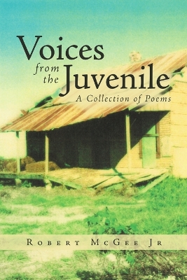 Book cover for Voices from the Juvenile