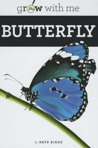 Cover of Butterfly