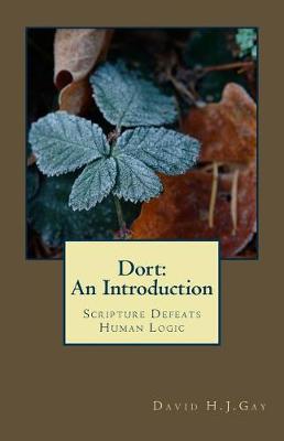 Book cover for Dort