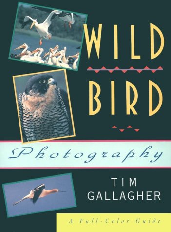 Book cover for Wild Bird Photography