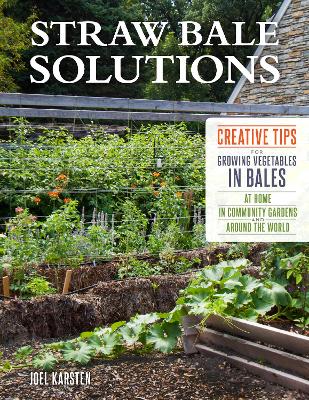 Book cover for Straw Bale Solutions