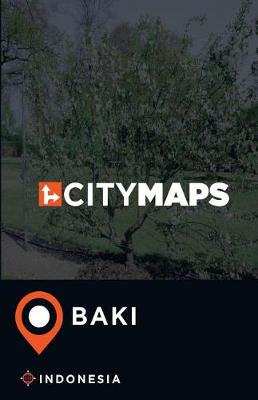 Book cover for City Maps Baki Indonesia