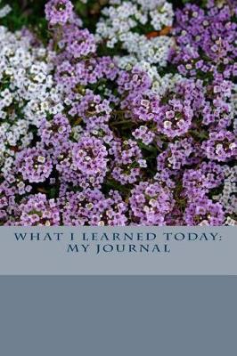 Book cover for What I Learned Today