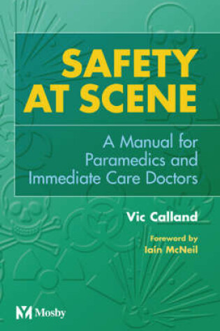 Cover of Safety at Scene