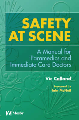 Book cover for Safety at Scene