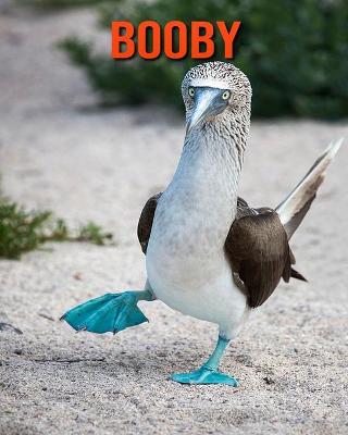 Book cover for Booby