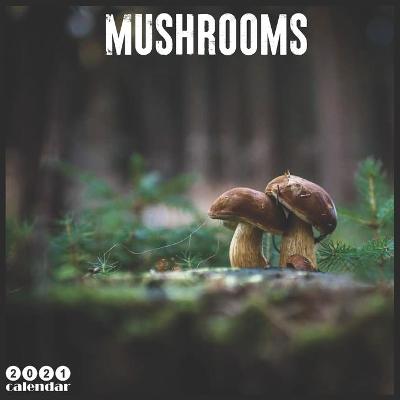 Book cover for Mushrooms 2021 Calendar