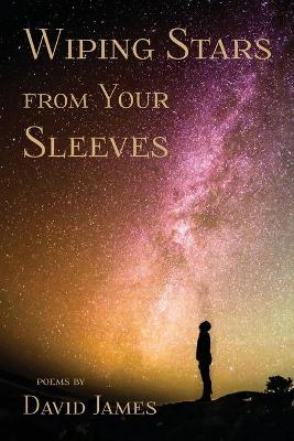 Book cover for Wiping Stars from Your Sleeves