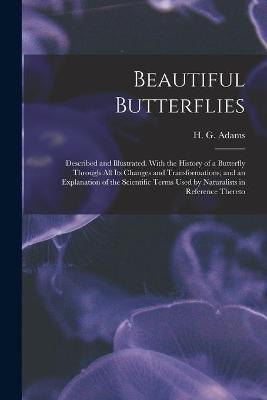 Cover of Beautiful Butterflies