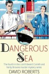 Book cover for Dangerous Sea