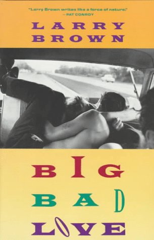 Book cover for Big Bad Love #