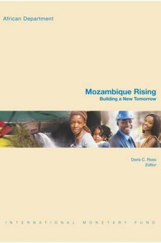 Cover of Mozambique Rising (French)