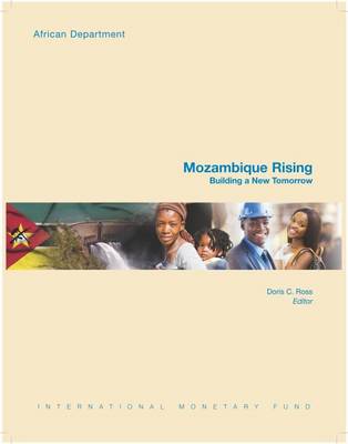 Book cover for Mozambique Rising (French)