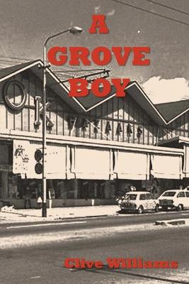 Book cover for A Grove Boy