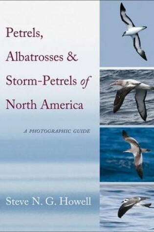 Cover of Petrels, Albatrosses, and Storm-Petrels of North America