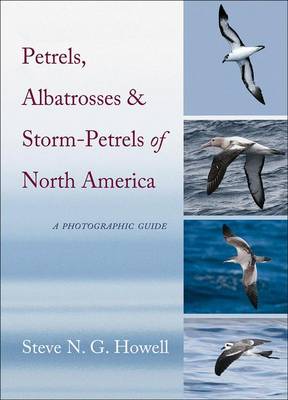 Book cover for Petrels, Albatrosses, and Storm-Petrels of North America