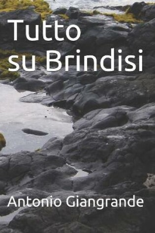Cover of Tutto su Brindisi