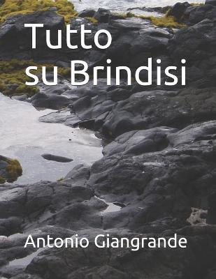 Book cover for Tutto su Brindisi