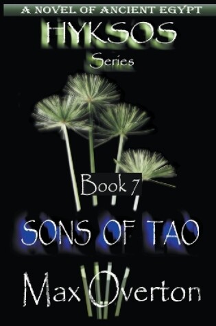 Cover of Sons of Tao