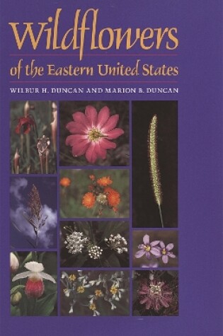 Cover of Wildflowers of the Eastern United States