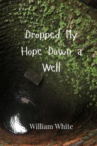 Cover of Dropped My Hope Down a Well