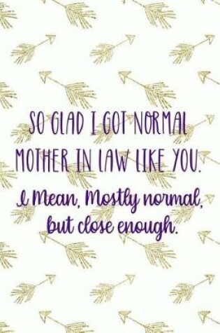 Cover of So Glad I Got Normal Mother In Law Like You. I Mean, Mostly Normal, But Close Enough.