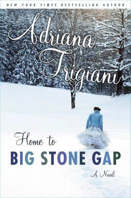 Book cover for Home to Big Stone Gap
